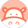 Логотип Hippo Video
