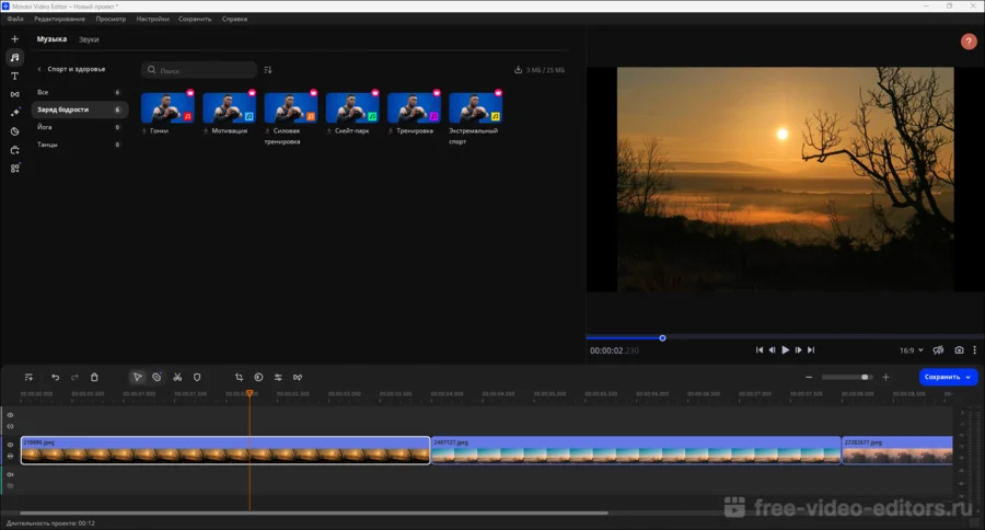 Movavi Video Editor