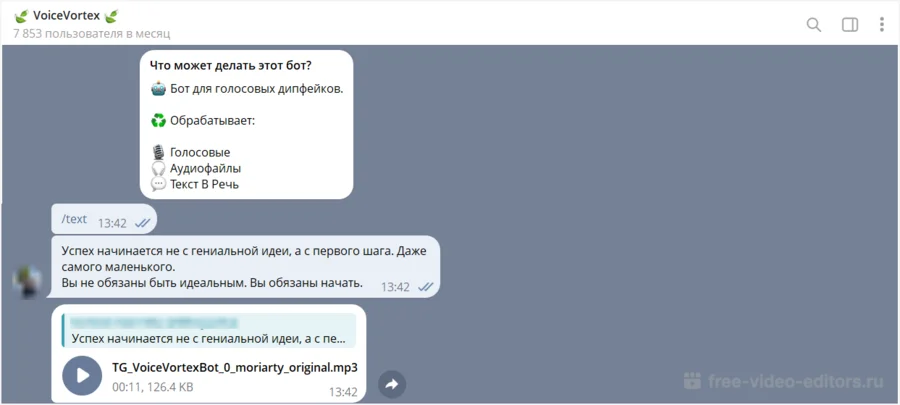 Интерфейс программы VoiceVortex