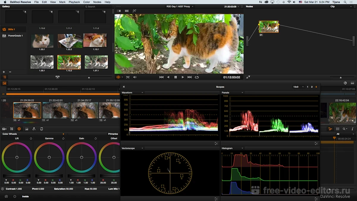 Davinci resolve 18 на русском