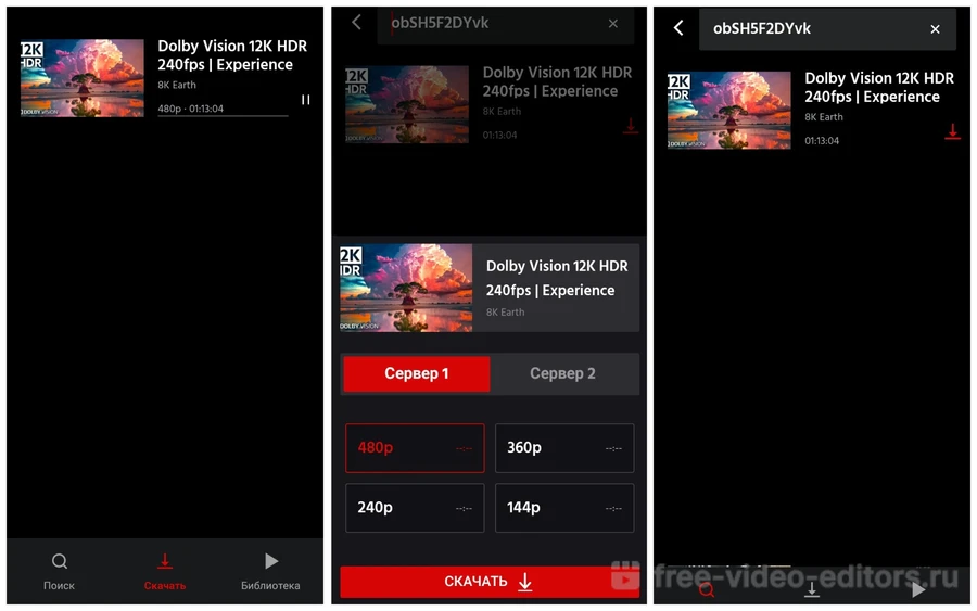 Tube Video Downloader
